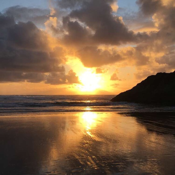 Meet your Posher, Sophie - Picture 1 of 1